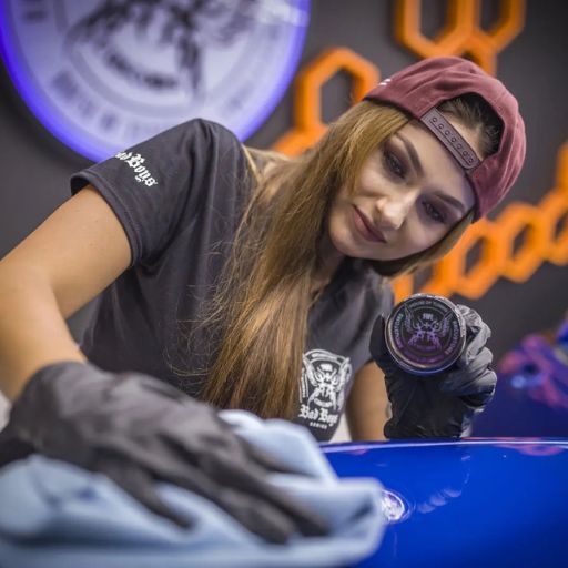 🐞 Insect & Degreasers