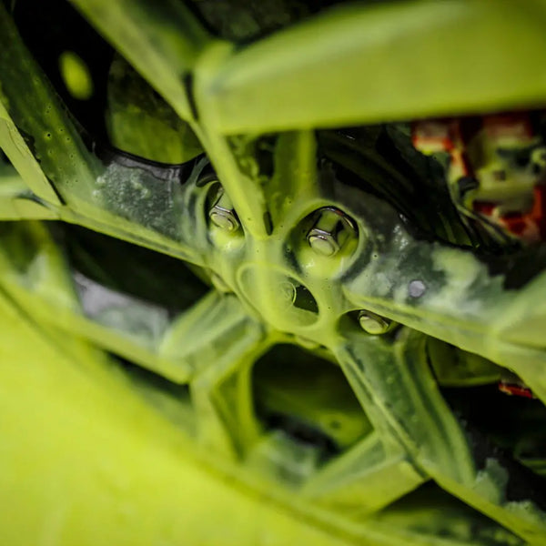 Bad Boys Colored Show Foam Box