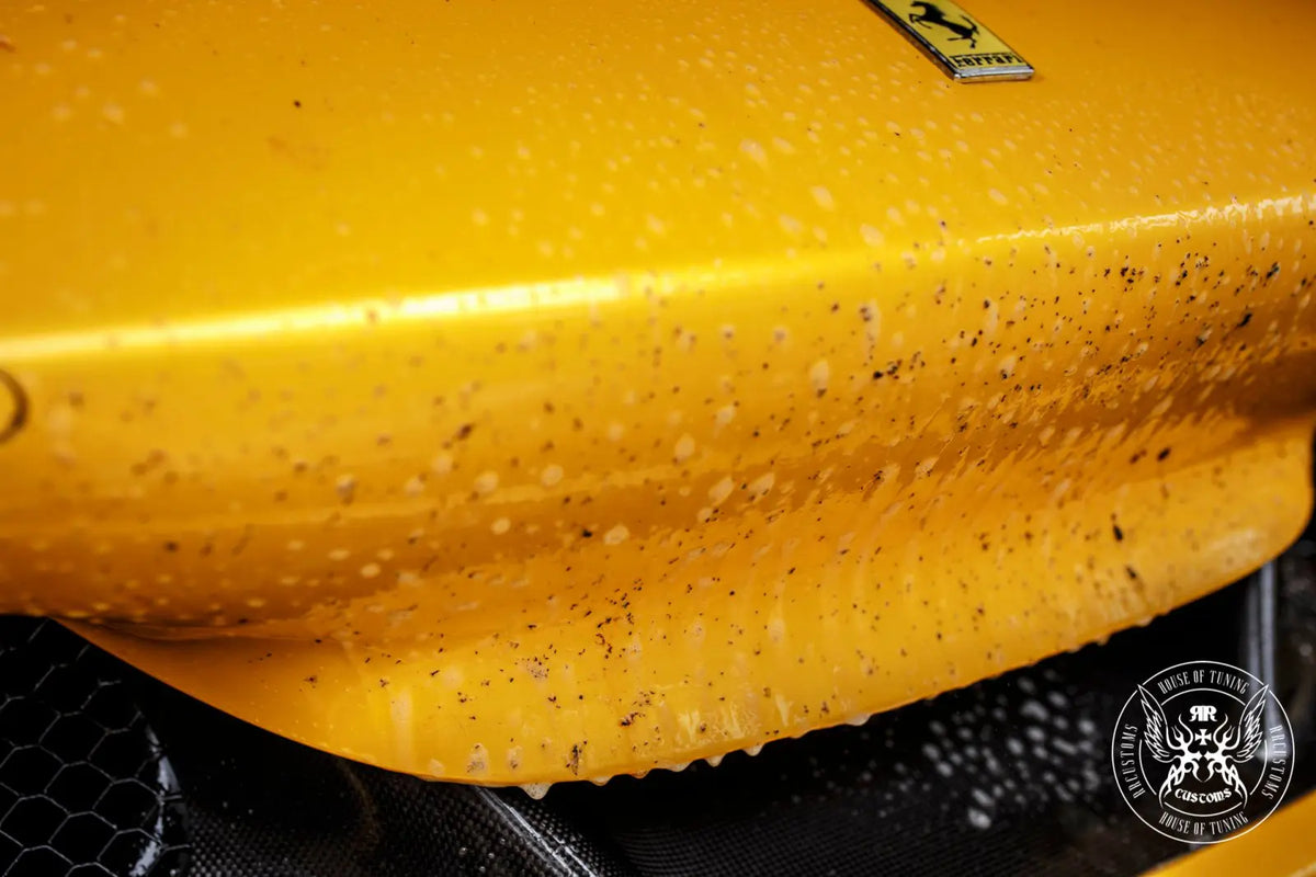 Bad Boys Bug Remover