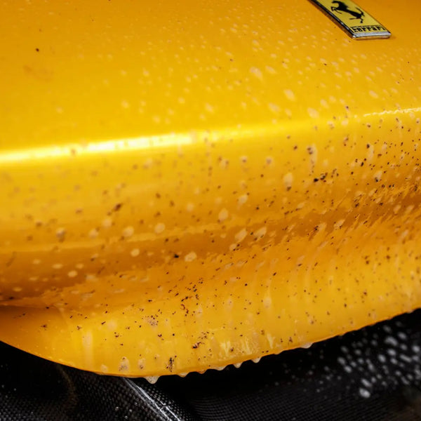 Bad Boys Bug Remover