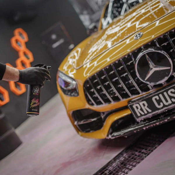 Bad Boys Bug Remover