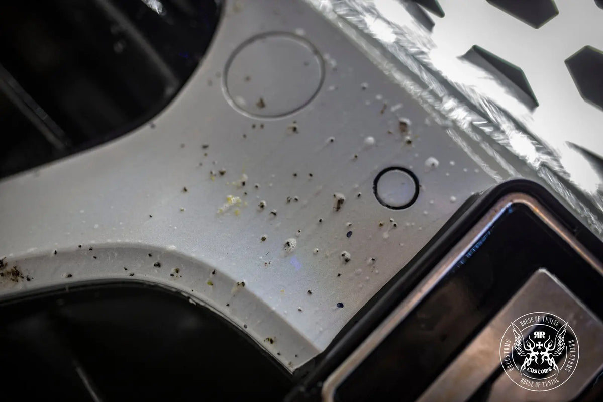 Bad Boys Bug Remover