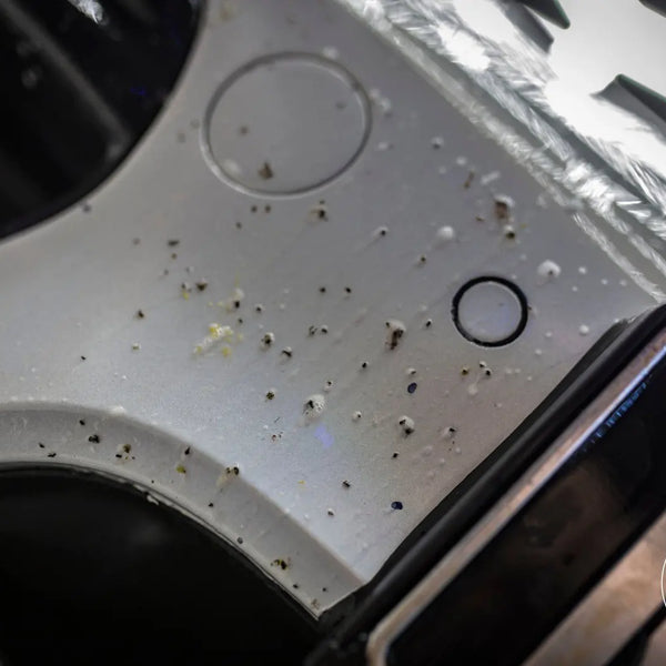 Bad Boys Bug Remover