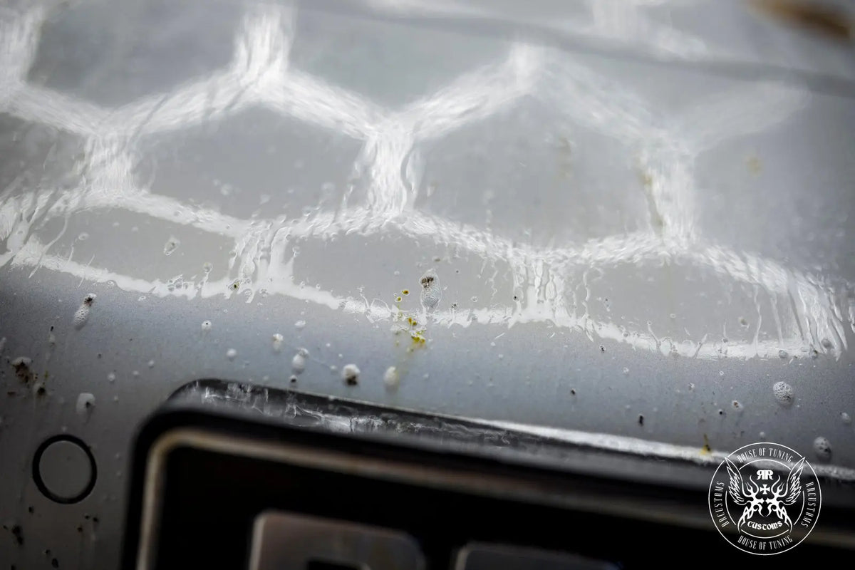 Bad Boys Bug Remover