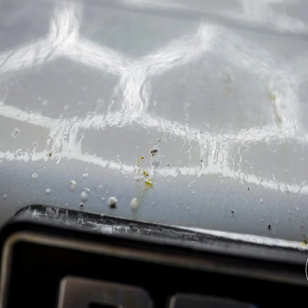 Bad Boys Bug Remover