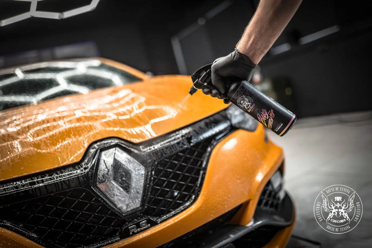 Bad Boys Bug Remover