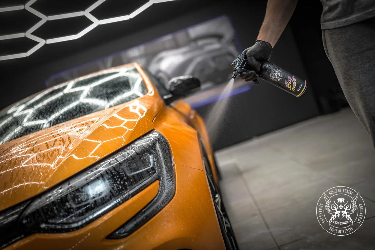 Bad Boys Bug Remover