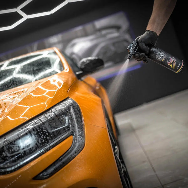 Bad Boys Bug Remover